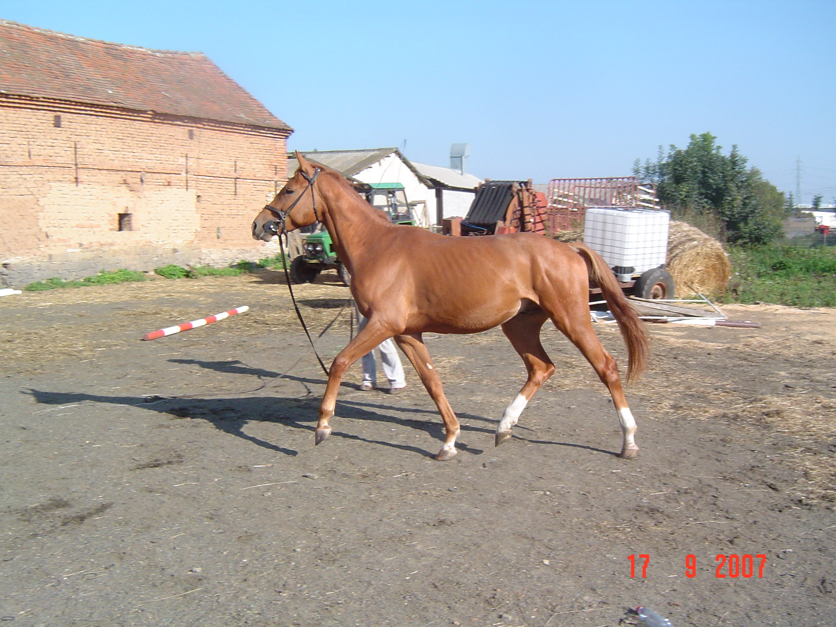 DSC00279.JPG