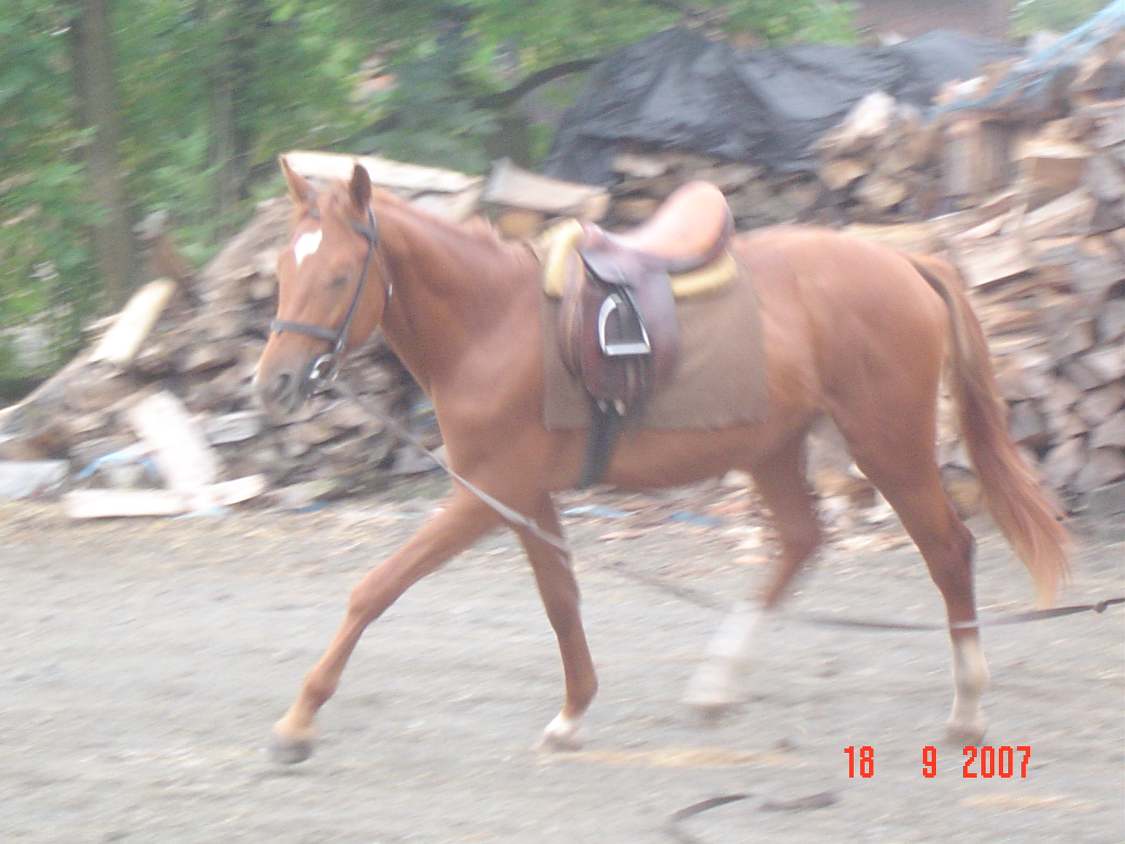 DSC00296.JPG