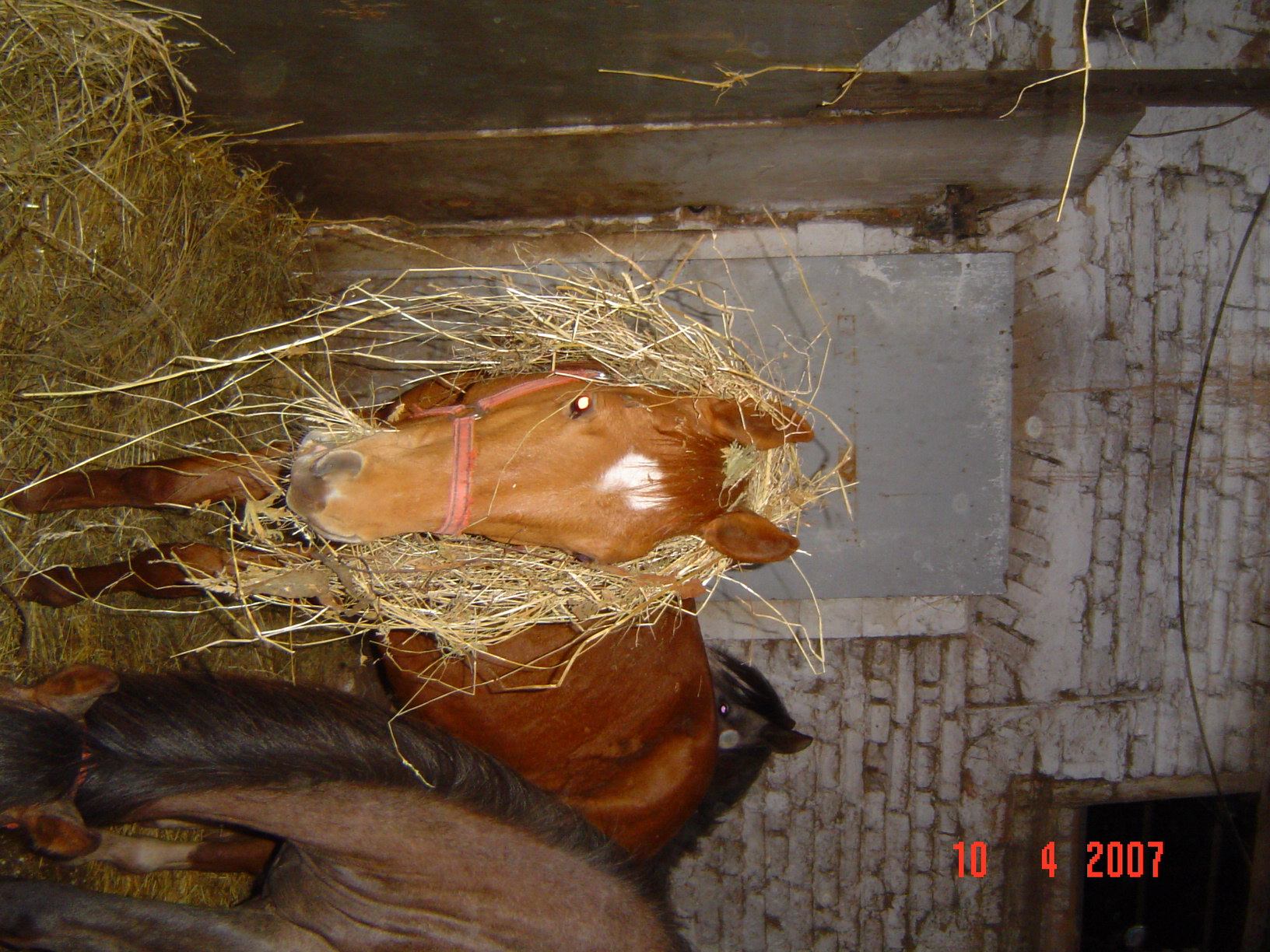 DSC07380.JPG