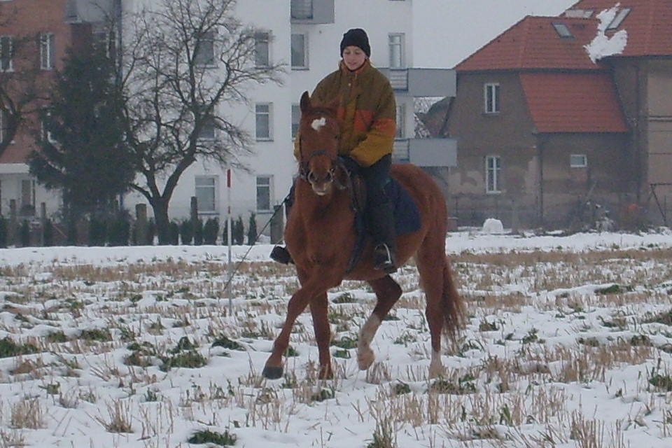 S7300932.JPG