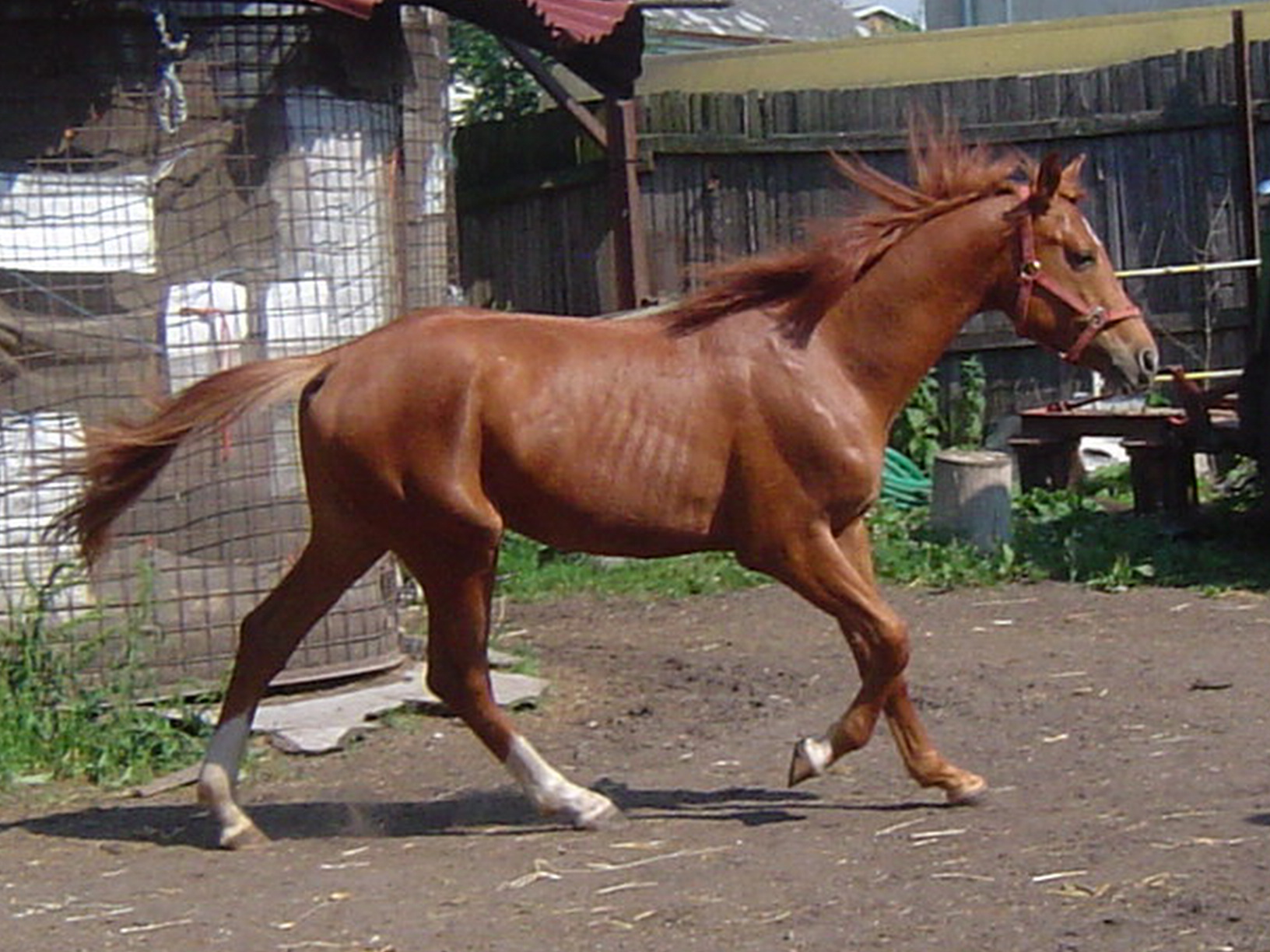 DSC09283.JPG