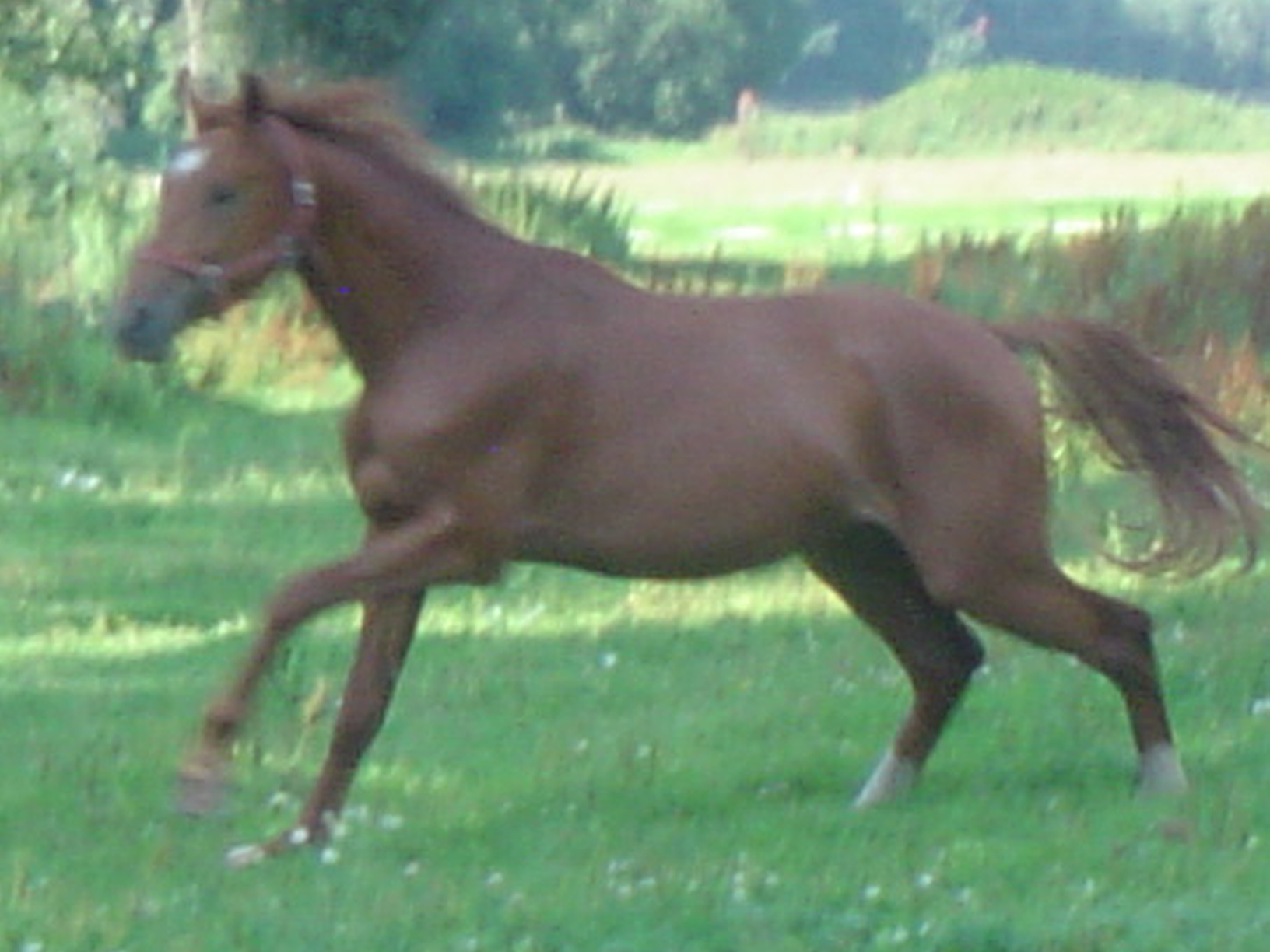 DSC09742.JPG