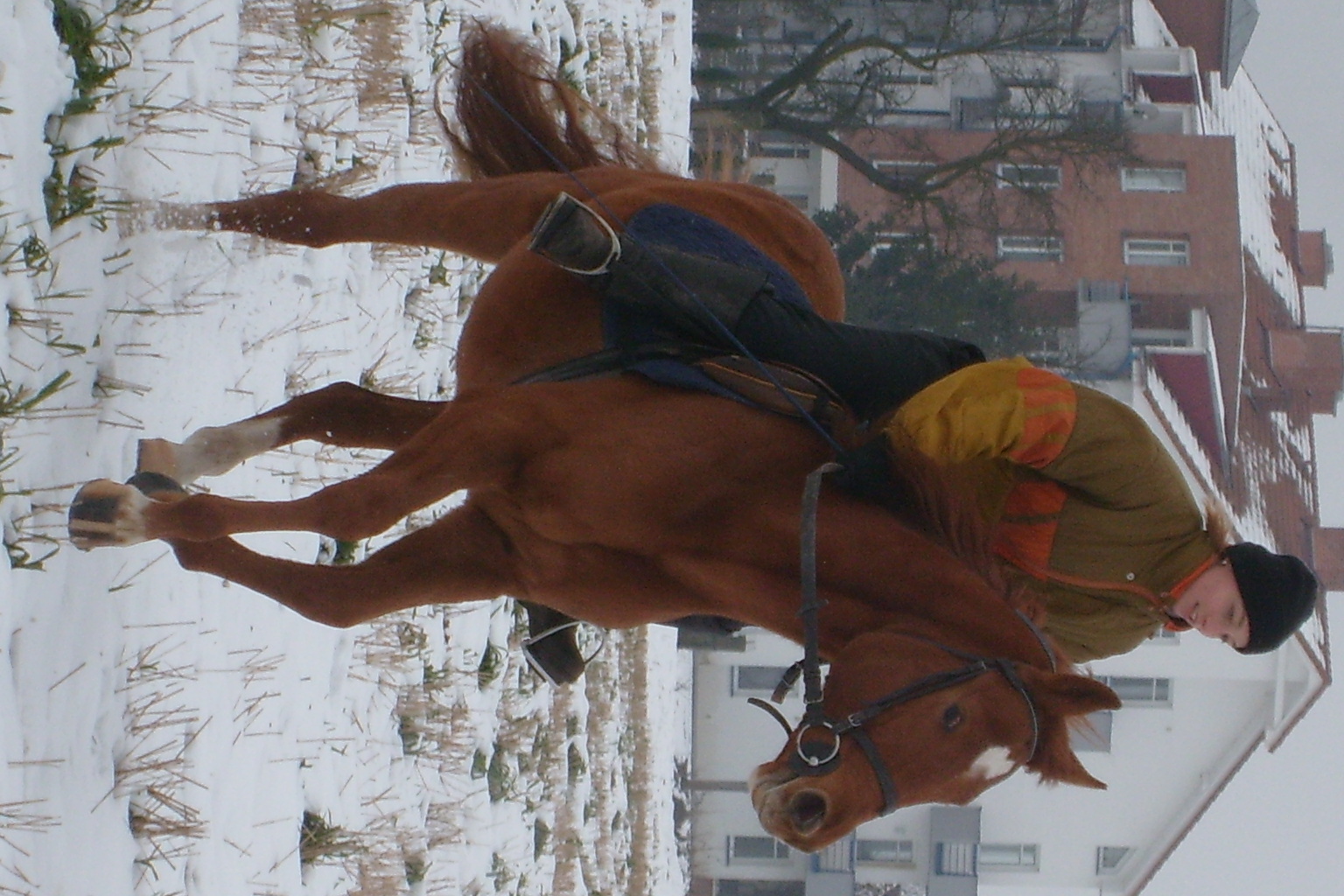 S7300917.JPG
